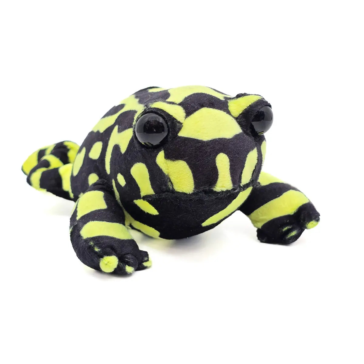 20cm Corroboree Frog - Allanson Souvenirs