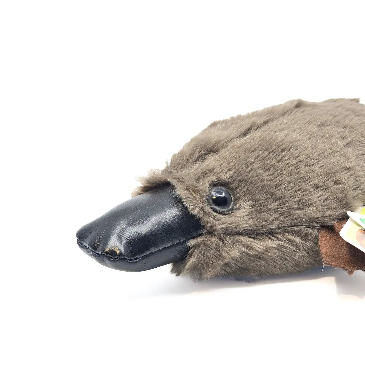 30cm Australian-made Platypus Soft Toy - Allanson Souvenirs