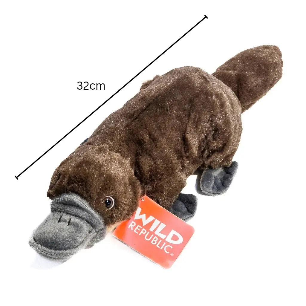 32cm Cuddly Platypus - Allanson Souvenirs