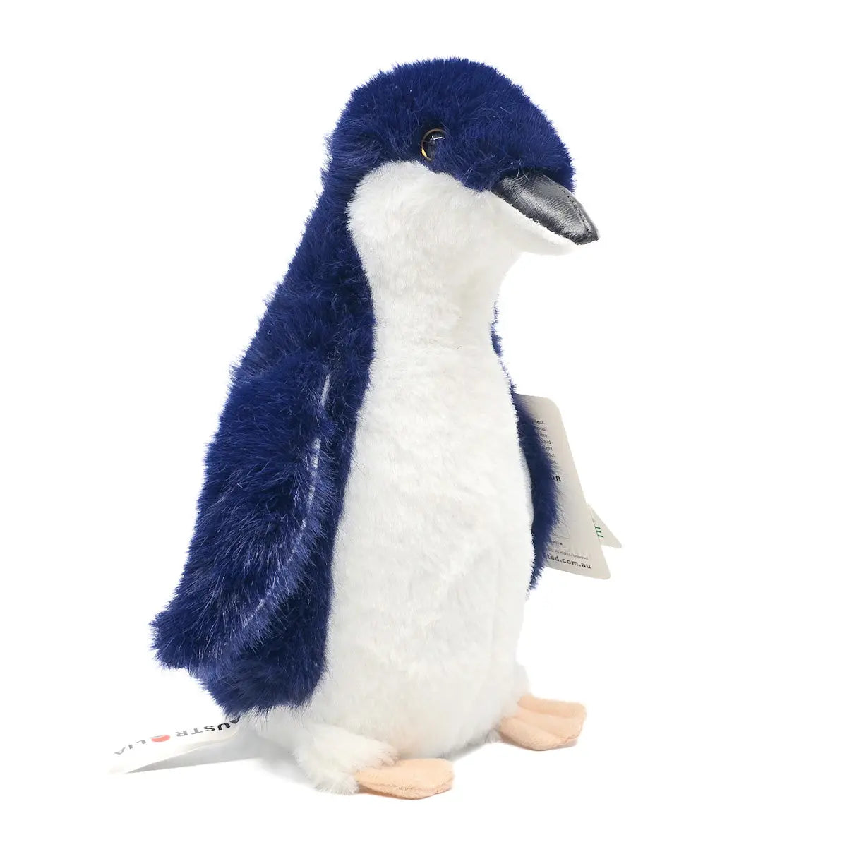 Australian Made 25cm Blue Fairy Penguin - Allanson Souvenirs