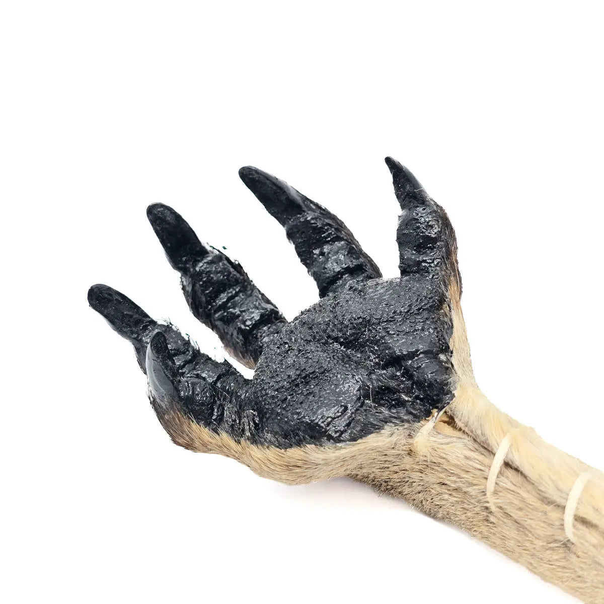 Kangaroo Paw Back Scratcher - Allanson Souvenirs