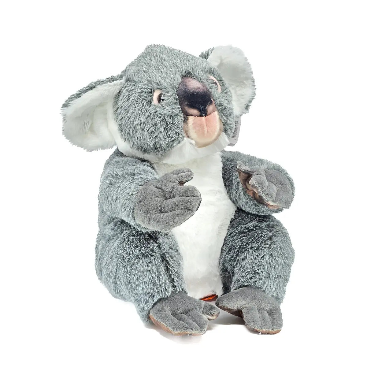 Koala Soft Toy Artist Range Allanson Souvenirs