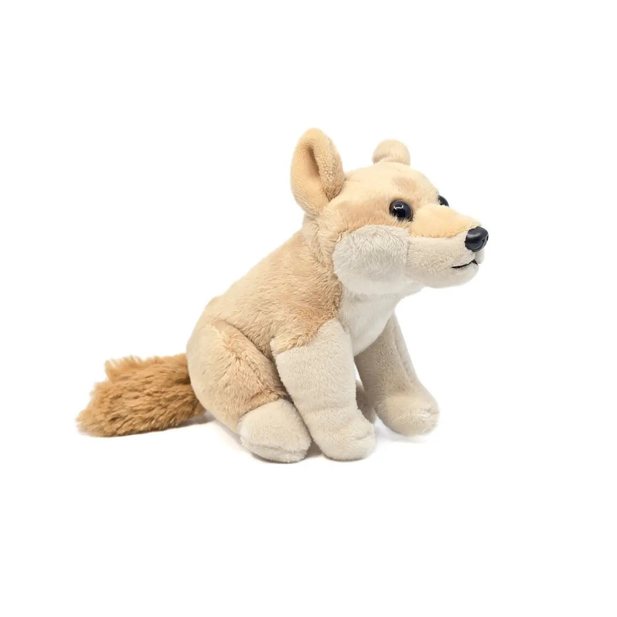 Pocketkin Eco Dingo - Allanson Souvenirs