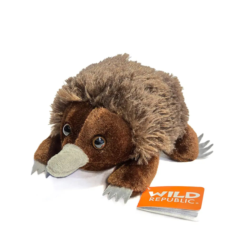 Australian Wildlife Soft Toys - Allanson Souvenirs
