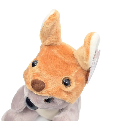 15cm Koala Beanie Soft Toy - Allanson Souvenirs