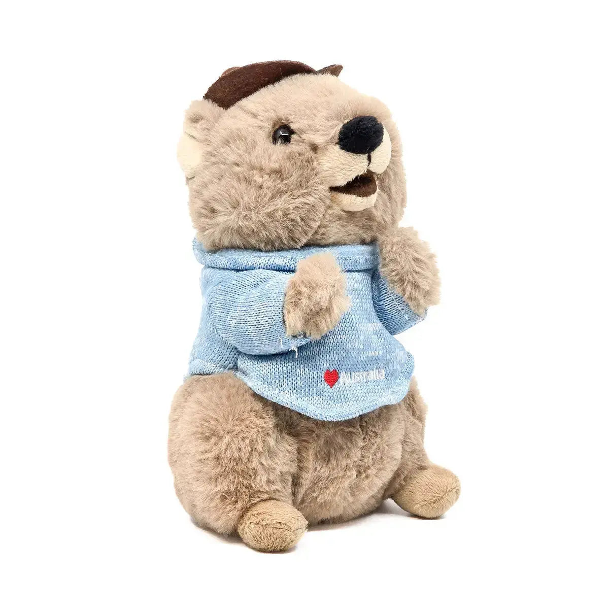 20cm Mokka the Quokka - Allanson Souvenirs