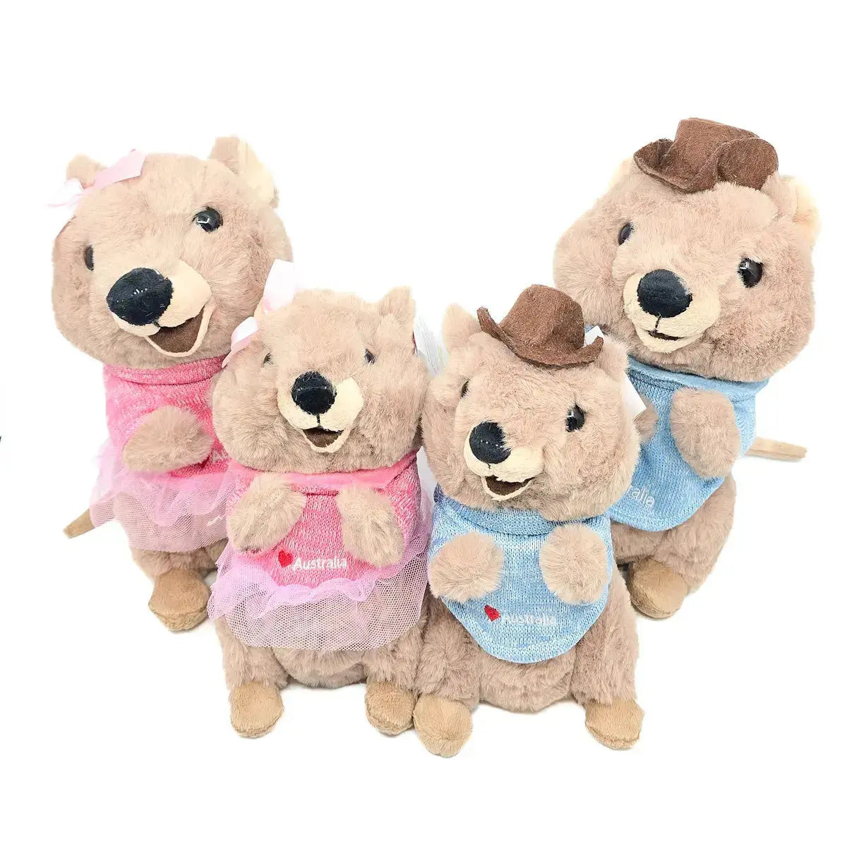 Mokka and Mikka Quokka's - Allanson Souvenirs