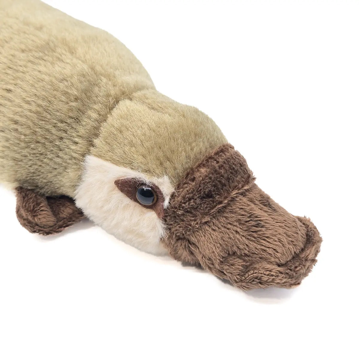 32cm Platypus Soft Toy - Allanson Souvenirs