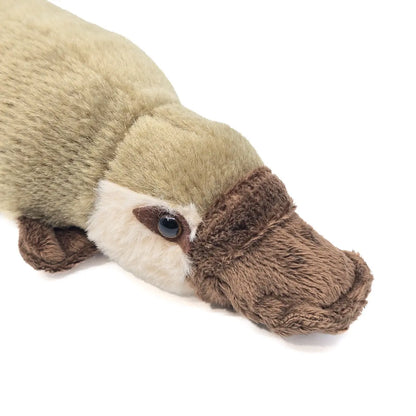 32cm Platypus Soft Toy - Allanson Souvenirs
