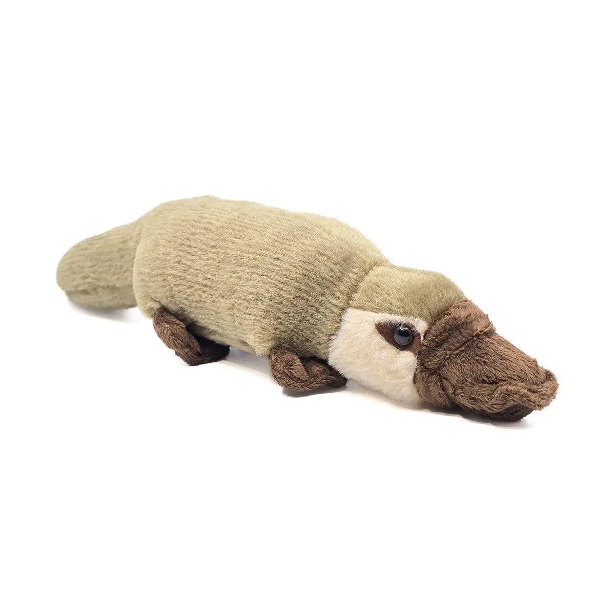 32cm Platypus Soft Toy - Allanson Souvenirs