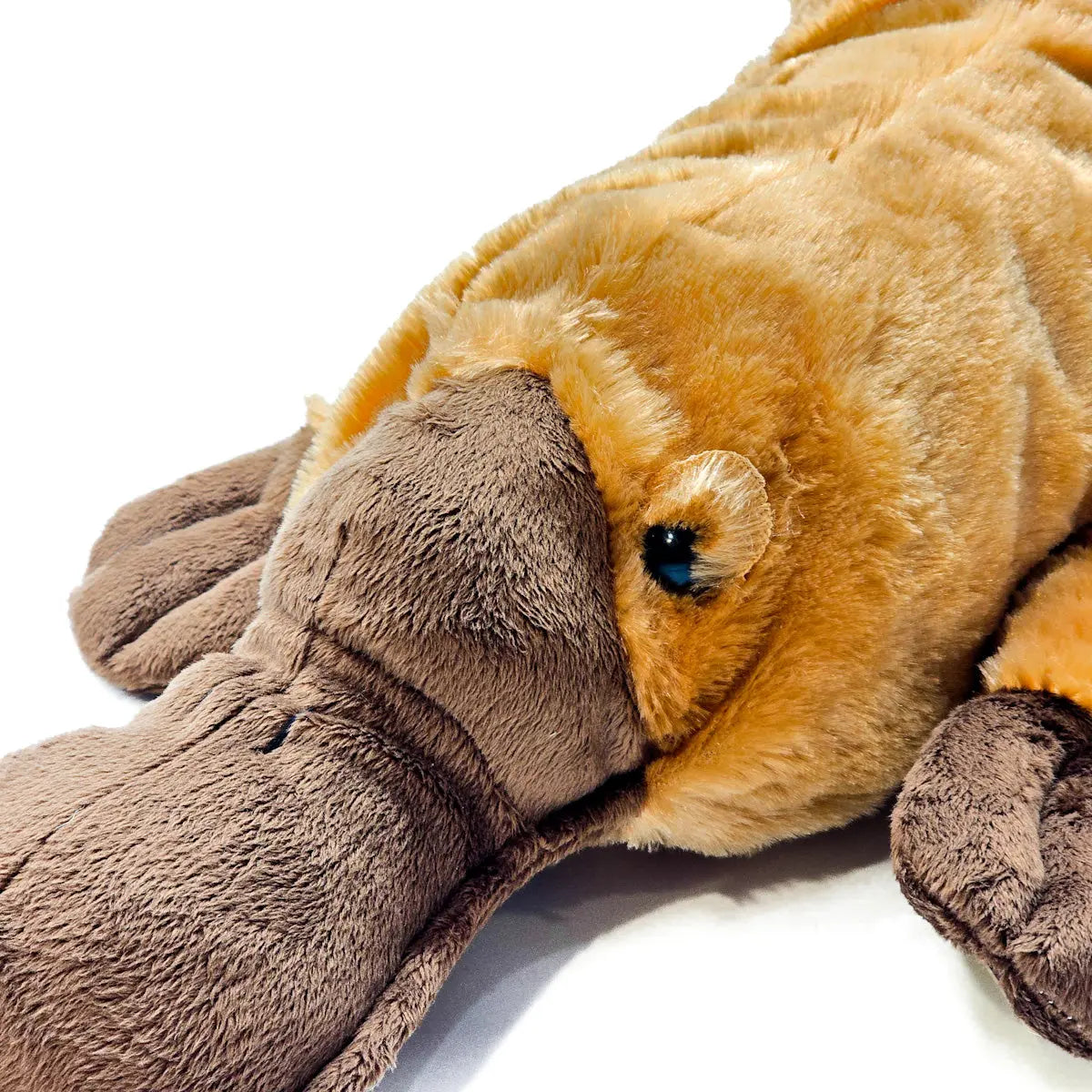 70cm Plush Platypus Soft Toy - Allanson Souvenirs