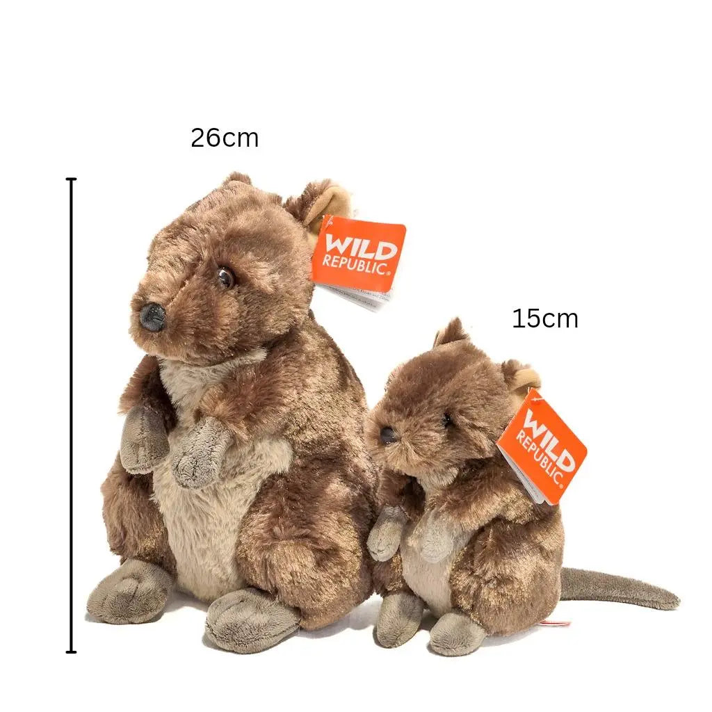 Quokka Soft Toy Size Guide Allanson Souvenirs