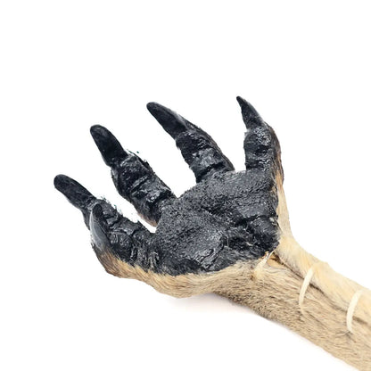 Kangaroo Paw Back Scratcher - Allanson Souvenirs