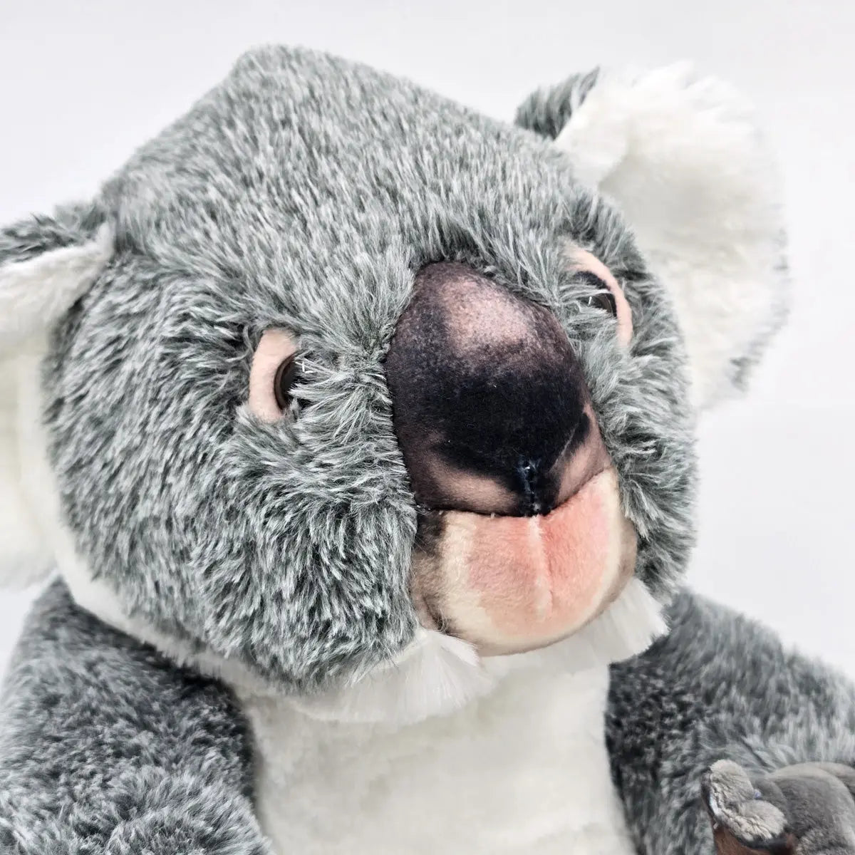 Koala Soft Toy Artist Range Allanson Souvenirs