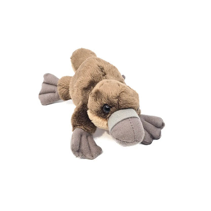Pocketkin Eco Platypus - Allanson Souvenirs